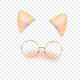 Snapchat Cat Cute Face With Glasses Filter Ears PNG Image