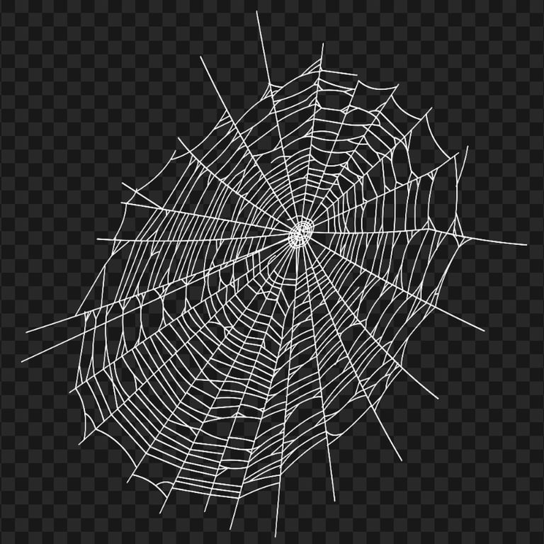 HD Halloween White Spider Web Transparent Background | Citypng
