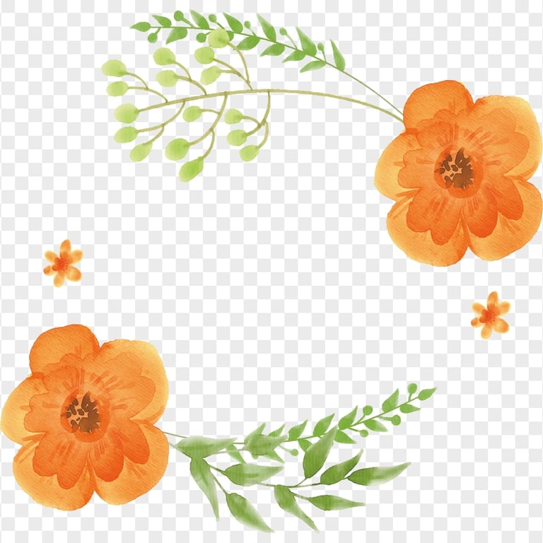 Two Watercolor Orange Flowers HD PNG