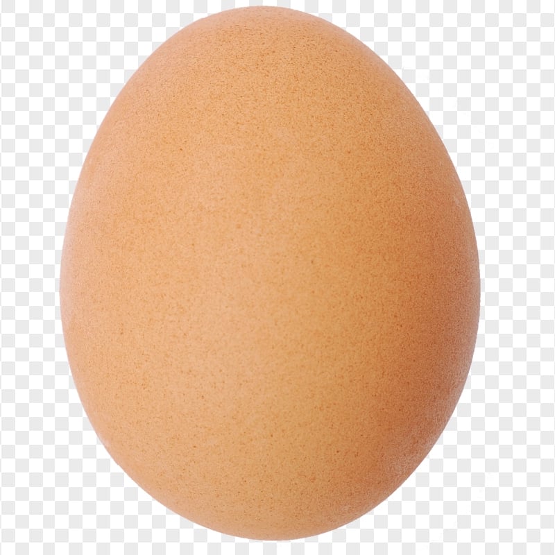 Real Single Brown Egg HD Transparent Background