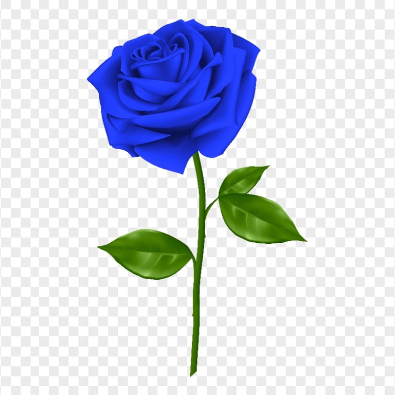 HD Realistic Blue Rose Transparent Background | Citypng