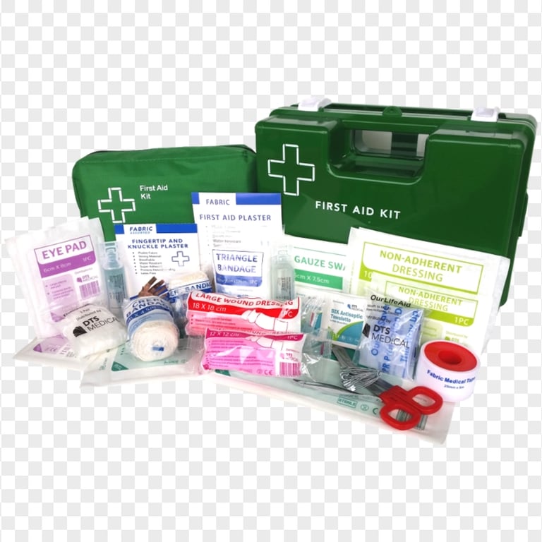 Two Green First Aid Hand Bags & Medicine Supplies