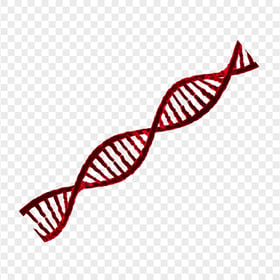 HD PNG Red DNA String