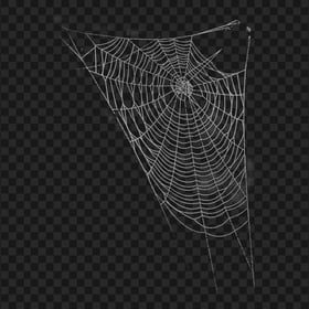 HD Spider Web Lines Cobwebs PNG