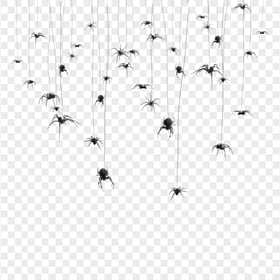 HD Halloween Hanging Spiders Spiderweb Silhouettes PNG