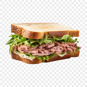 HD Tasty Tuna Sandwich Mayo and Lettuce Transparent PNG