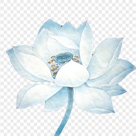 Blue Lotus Flower Rose Watercolor HD PNG