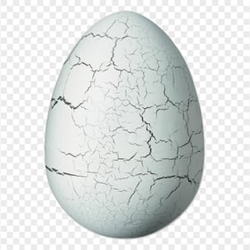 HD Realistic White Dinosaur Egg Transparent Background