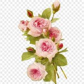 Romantic Pink Flower Old Canvas PNG