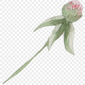 Watercolor wildflower closed png