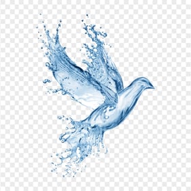 HD Water Splash Bird Pigeon Shape PNG