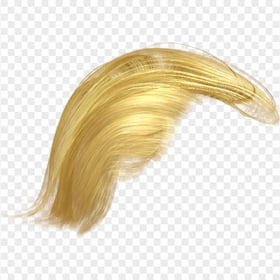 Donald Trump Realistic Yellow Hair