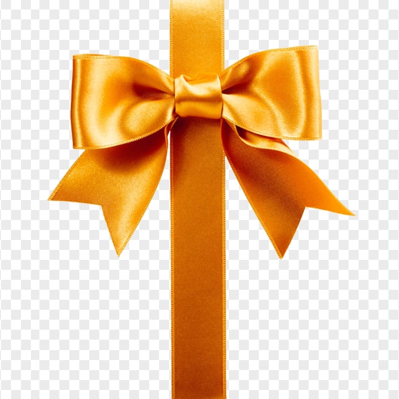 Download Orange Ribbon Bow Tie PNG | Citypng