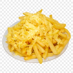 French Fries With Cheese On A Ceramic Plate HD PNG