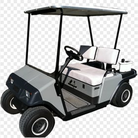 Gray Electric Golf Buggy Cart