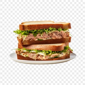 Fresh Tuna Double Toasted Sandwich on a Plate HD PNG