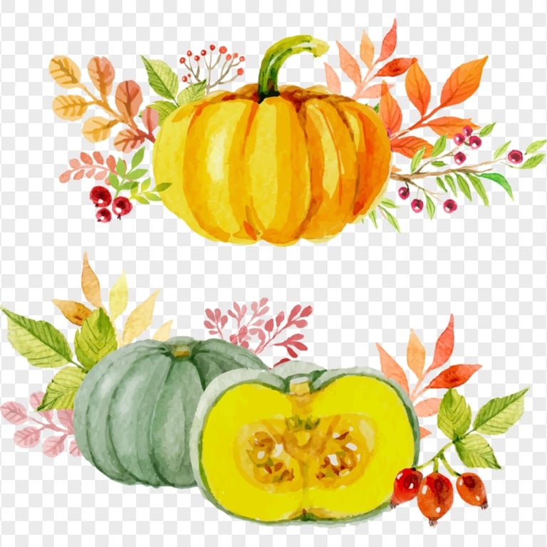 Pumpkin Watercolor With Flowers Art Fall Autumn