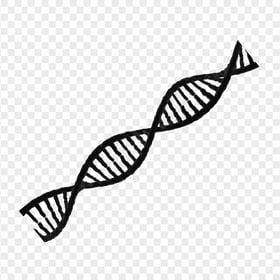 Black DNA String Transparent PNG