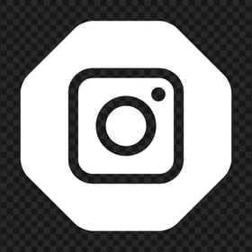 Instagram Outline Logo In White Hexagonal Shape Icon