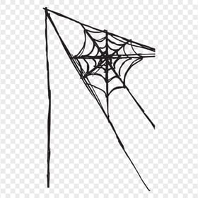 Black Halloween Drawing Spider Web Line HD PNG