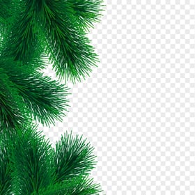 Green Pine Branches Left Border PNG