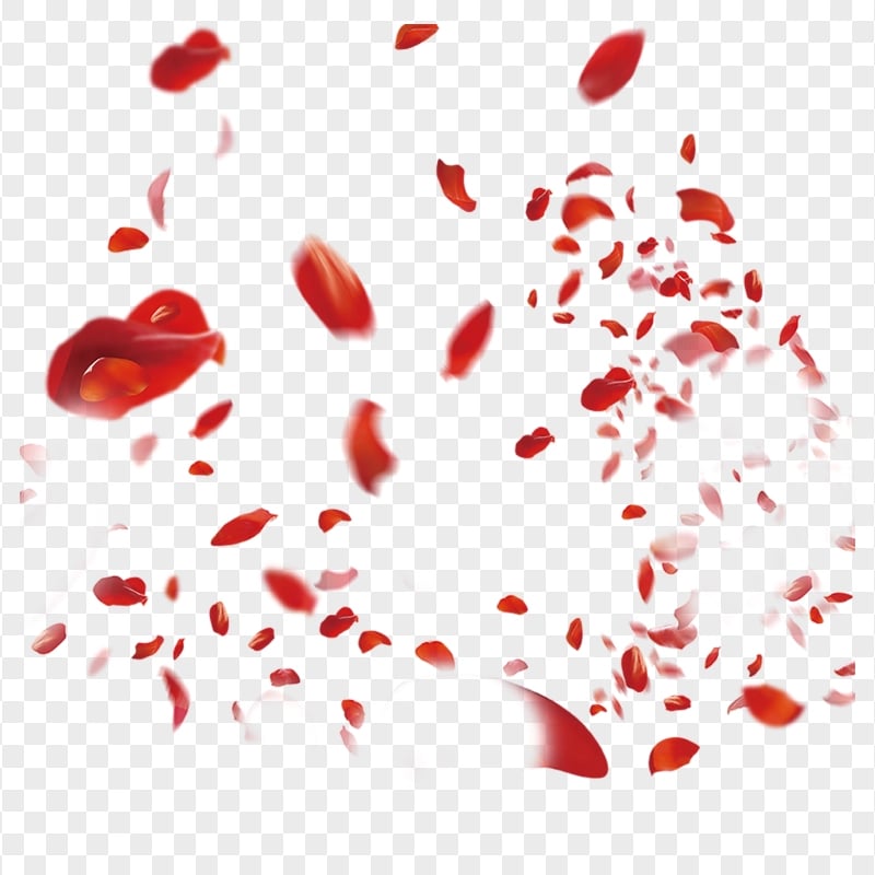 HD Red Falling Petals Flower Rose PNG | Citypng