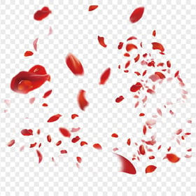 HD Red Falling Petals Flower Rose PNG