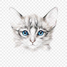 Portrait of Cute Cat Face Pencil Drawing HD Transparent PNG