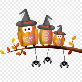 PNG Halloween Three Owls In Tree Branch Illustration