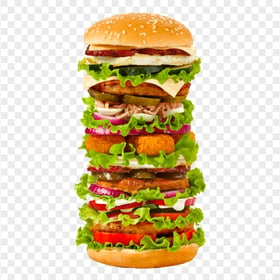 Biggest Hamburger Burger Whopper Fast Food