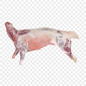 HD Sheep Raw Whole Meat Transparent PNG