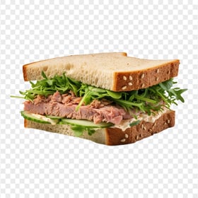 Delicious Toasted Tuna and Cucumber HD Transparent PNG
