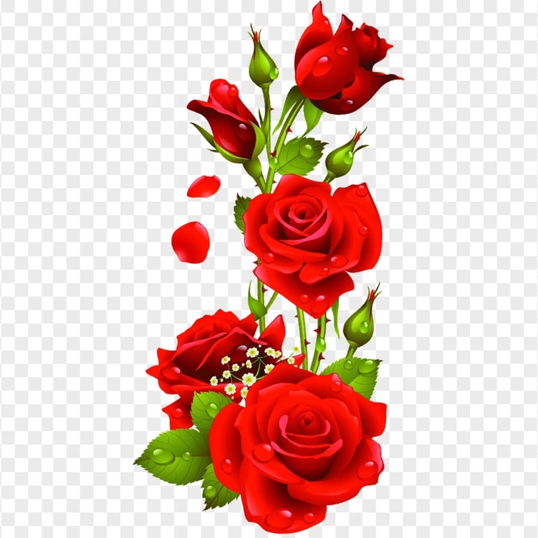 Red Roses Plant Illustration PNG Image