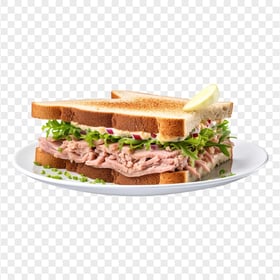 Classic Tuna Sandwich with Lime Red Onion on Dish HD PNG