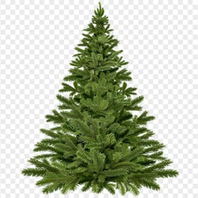 HD Christmas Pine Tree PNG