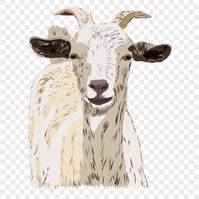 HD Cartoon Drawing Goat Illustration PNG