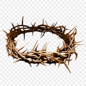 Crown Of Thorns Christian Spines Christianity
