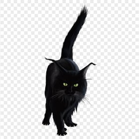 PNG Halloween Black Cat Horror Character Illustration