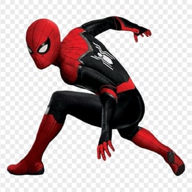 HD black spider man realistic PNG