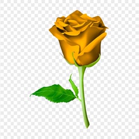 Orange Flower Rose With Green Leaf Illustration PNG
