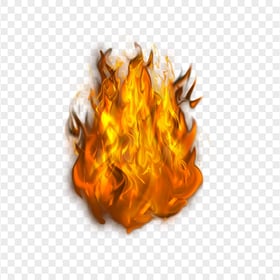 HD Realistic Flame Burn Fire Without Smoke