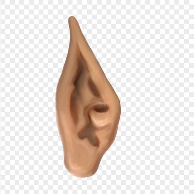 Elf Elves Realistic Ear PNG