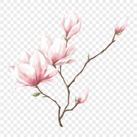 HD Pink Branch Flowers Painting Watercolor PNG