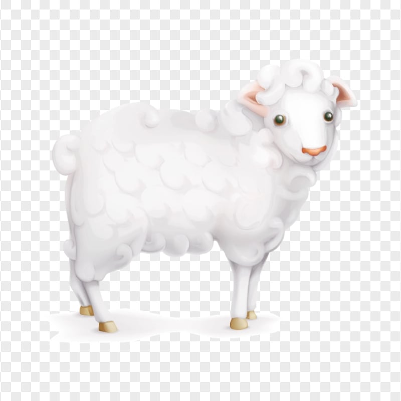 Cute White Sheep Cartoon Illustration