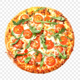 HD PNG Tasty Veggie Pizza with Herbs Italian Fast Food