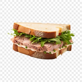 Transparent HD Tasty Toasted Tuna with Lettuce