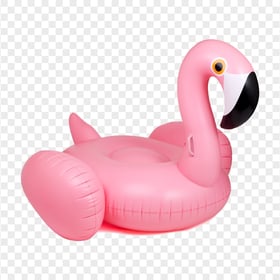 HD Pink Flamingo Inflatable Pool Buoy Ring PNG