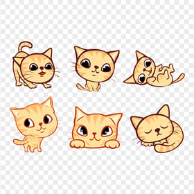 Set Of Adorable Ginger Tabby Cat HD Transparent PNG