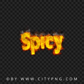 Burning Spicy Text Word Logo PNG Image