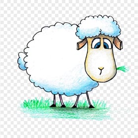 HD Cartoon Drawn Colored Sheep With Grass PNG